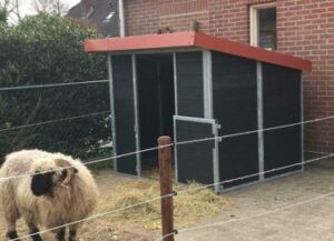 Schapenstal ministal