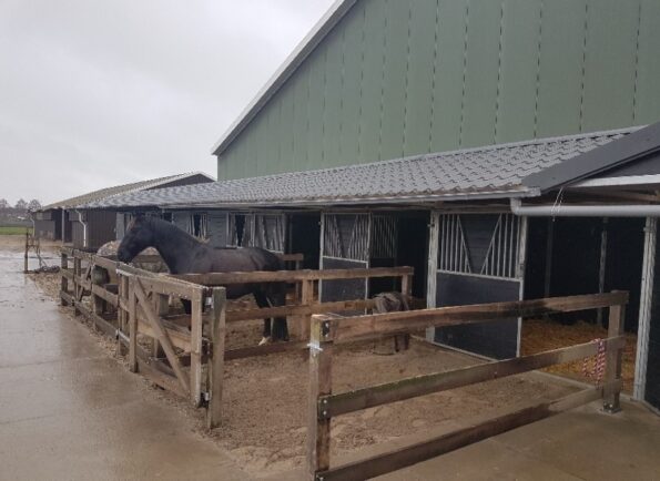 Stallen met voorterrein